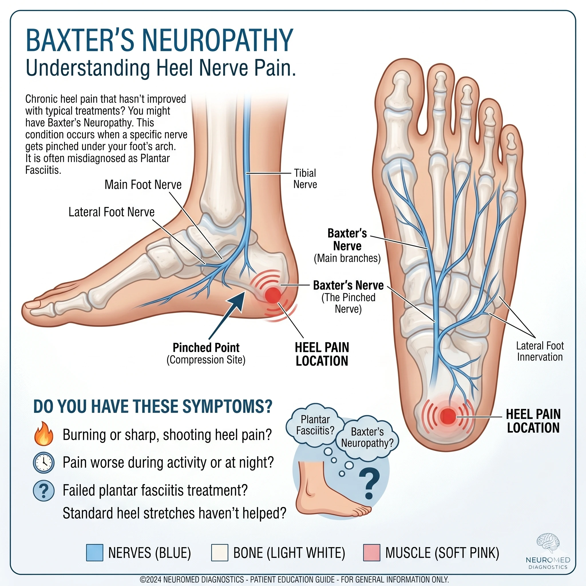 An infographic illustrating Baxter's neuropathy as a cause of heel pain, showing nerve compression points and common symptoms.